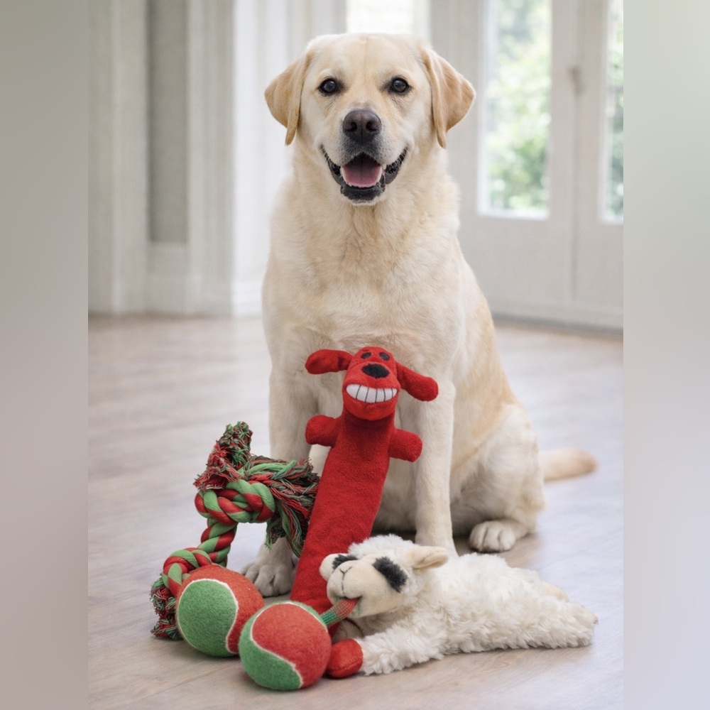 NWT Dog Chew Toys 5 Pc Set Rope Ball Squeakers Green or Red Christmas Stocking
